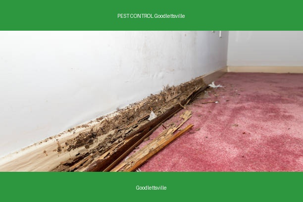 PEST CONTROL Goodlettsville